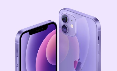 平和苹果手机维修分享紫色版iPhone 12有什么技术亮点 